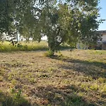 Bed & Breakfast San Lorenzo Vasto