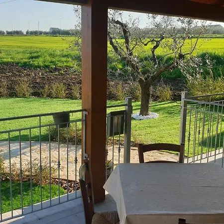 San Lorenzo 3*